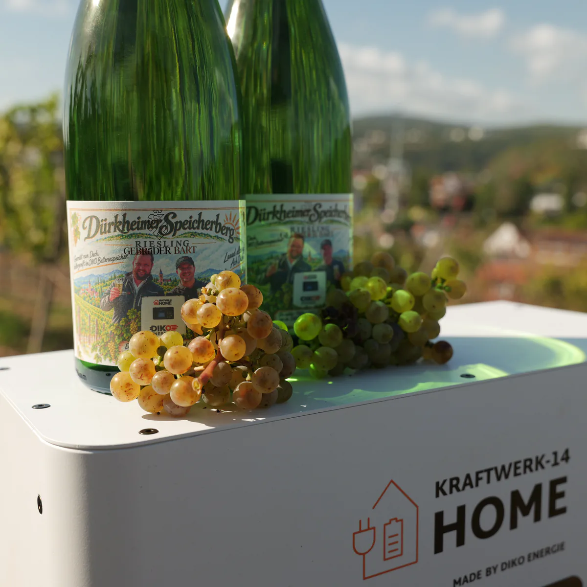 Weinflaschen und Trauben auf dem DIKO KRAFTWERK-14 HOME im Weinberg über Bad Dürkheim