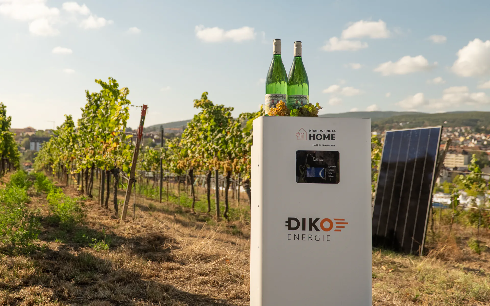 DIKO KRAFTWERK-14 HOME mit Weinflaschen und Trauben im Weinberg über Bad Dürkheim